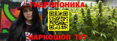 не бодяженный Аша