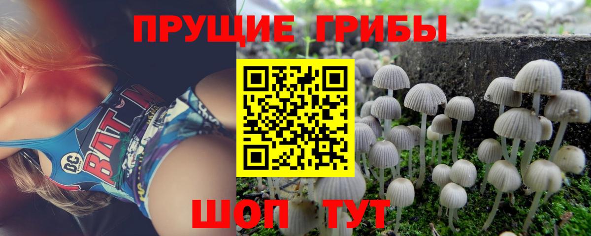 Галлюциногенные грибы мухоморы  Вход с VPN  Губкинский 