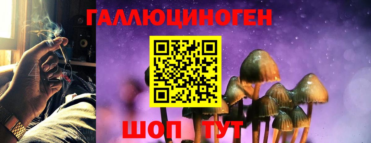 Псилоцибиновые грибы мицелий Губкинский